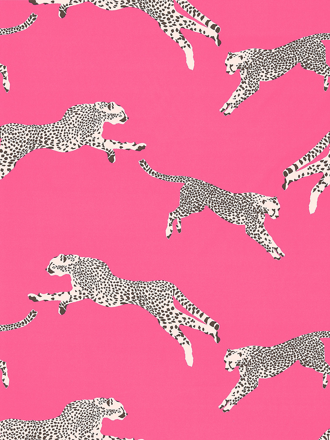 Leaping Cheetah Pillow | Bubblegum